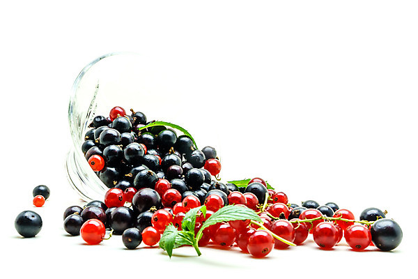 포토 JPG 해외이미지 열매 음식 다이어트 과일 유리 디저트 사람없음 빨간색 꽃병 검은색 식사 어둠 흰색 신선 달콤 작음 유기농 브런치 부드러움 건포도 고립 숙성 해외202004 해외포토 식물 웰빙 꽃 컬러 재질 포도 건강 감각 맛 크기 건과일 파일형식 이미지허브