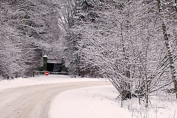 포토 JPG 해외이미지 계절 공원 도로 벽 겨울 자연 하늘 사람없음 야외 소나무 숲 위험 도로표지판 방법 제설기 해외202004 해외포토 나무 공공시설 길 컨셉 교통시설 표지판 생태계 제설 파일형식 이미지허브