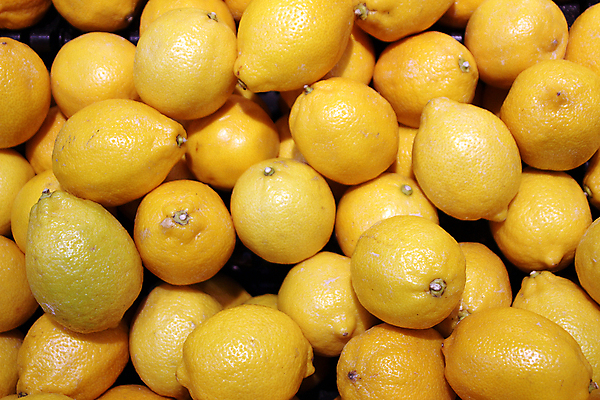 포토 JPG 해외이미지 사람없음 노란색 레몬 가득함 해외202004 해외포토 컬러 과일 파일형식 이미지허브