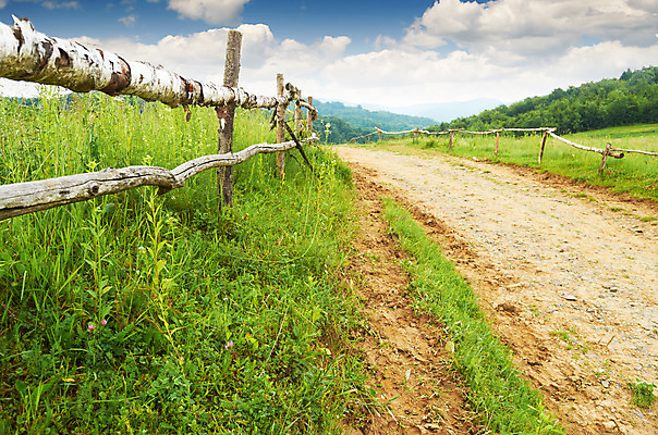 포토 JPG 해외이미지 나무 식물 구름 계절 도로 여행 밭 자연 하늘 휴가 산 파노라마 풍경 사람없음 야외 목재 여름 울타리 환경 계곡 봄 하이킹 시골 널 숲 땅 언덕 나무껍질 자작나무 내추럴 산악지대 옛날 절정 해외202004 해외포토 자연요소 길 농업 재료 교통시설 레저 촬영기법 담장 껍질 생태계 파일형식 이미지허브