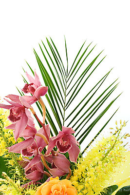 포토 JPG 해외이미지 식물 디자인 꽃잎 꽃 꽃다발 백그라운드 잎 꽃무늬 오렌지 자연 선물 사람없음 장식 초록색 봄 벚꽃 흰색 축하 신선 난초 다발 꽃집 내추럴 고립 해외202004 해외포토 계절 컬러 컨셉 무늬 과일 상점 생태계 파일형식 이미지허브