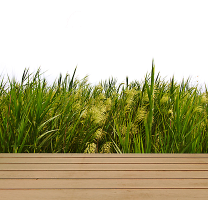포토 JPG 해외이미지 식물 공원 스포츠 백그라운드 잎 패턴 밭 자연 벽지 놀이 프레임 잔디 사람없음 야외 가로 초록색 환경 봄 활발 신선 보호 땅 허브 원예 질감 심플 각도 내추럴 고립 해외202004 해외포토 계절 공공시설 컬러 컨셉 무늬 농업 취미 생태계 파일형식 이미지허브