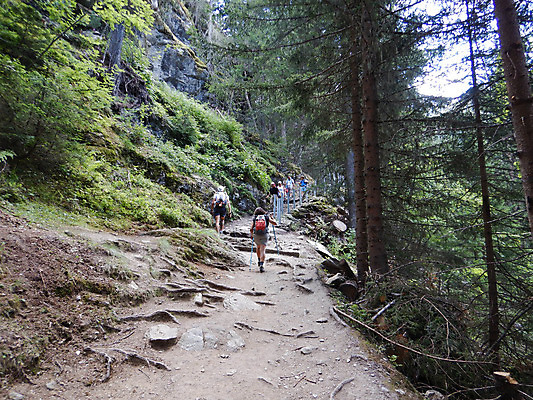 포토 JPG 해외이미지 나무 유럽 도로 길 여행 자국 자연 산 파노라마 사람 풍경 사람없음 야외 목재 초록색 여름 관광지 걷기 환경 산책 트래킹 하이킹 나뭇가지 숲 오솔길 뿌리 내추럴 삼림지대 하이커 산맥 해외202004 해외포토 식물 계절 나라 컬러 재료 교통시설 모션 레저 휴식 촬영기법 생태계 파일형식 이미지허브