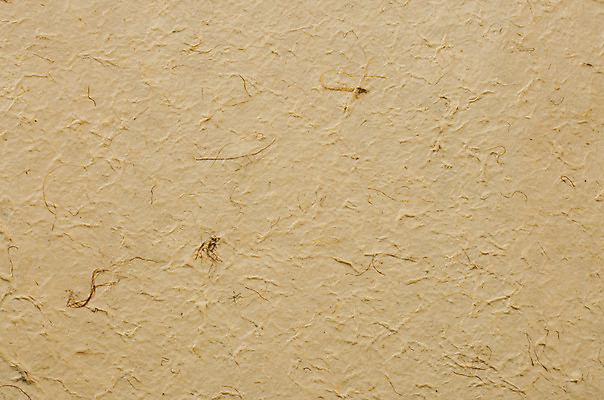 포토 JPG 해외이미지 디자인 종이 백그라운드 추상 사람없음 세로 우주 공백 손상 수확 골동품 흰색 시골 점 얼룩 거친 잡지 두루마리 편지 질감 복고 페이지 스크래치 찢어짐 시트 비네팅 판지 나쁜 구김 구식 그런지 스크랩북 양피지 엘리먼트 옛날 원고 핸드메이드 효과 해외202004 해외포토 컬러 컨셉 무늬 농업 모션 촬영기법 간행물 파일형식 이미지허브