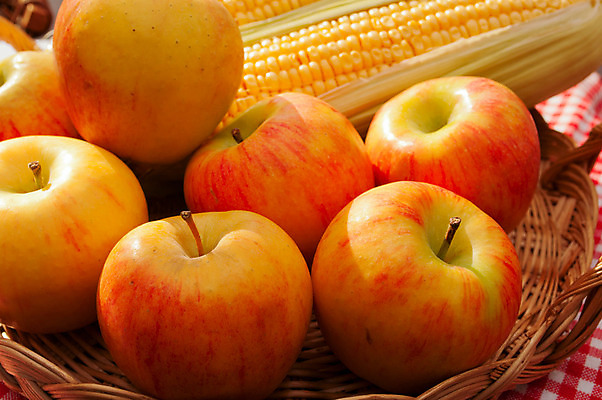 포토 JPG 해외이미지 계절 음식 다이어트 채소 과일 자연 건강 옥수수 사람없음 빨간색 초록색 햇빛 태양 농장 노란색 바구니 정원 수확 가을 신선 달콤 사과 낟알 먹기 유기농 날것 내추럴 숙성 해외202004 해외포토 자연요소 웰빙 컬러 농업 모션 곡류 맛 생태계 파일형식 이미지허브