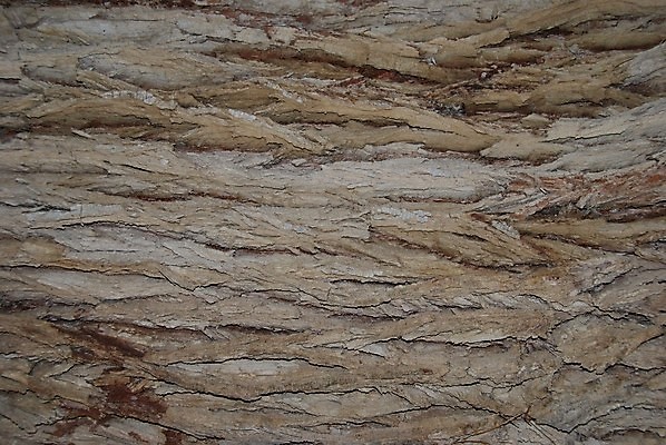 포토 JPG 해외이미지 나무 식물 디자인 백그라운드 패턴 벽지 추상 사람없음 목재 갈색 블록 나뭇가지 거친 선탠 숲 묘사 질감 나무껍질 찢어짐 잡동사니 수목 옛날 해외202004 해외포토 컬러 무늬 재료 모션 껍질 파일형식 이미지허브