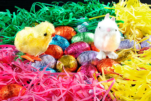 포토 JPG 해외이미지 전통 계절 음식 분홍색 백그라운드 컨셉 패턴 오렌지 조류 휴가 부활절 병아리 창조 이벤트 사람없음 장식 가로 초록색 파란색 컬러풀 장난감 노란색 초콜릿 계란 보라색 축제 봄 축하 토끼 그룹 맛 수집 은박지 오브젝트 해외202004 해외포토 동물 기념일 컬러 무늬 과일 포유류 디저트 반려동물 알 파일형식 이미지허브