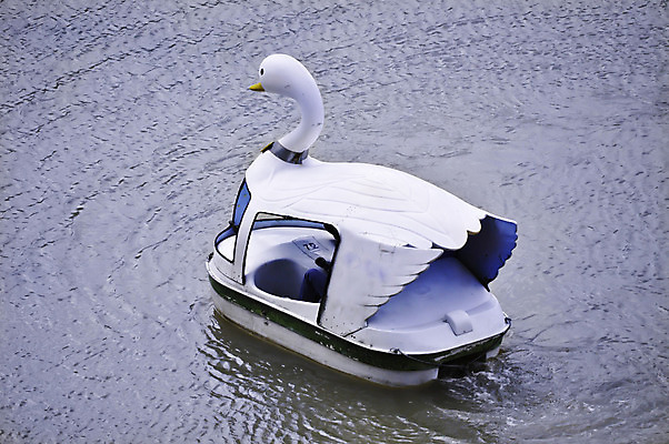 포토 JPG 해외이미지 나무 식물 계절 공원 꽃 지구 호수 여행 잎 자국 자연 하늘 휴가 휴식 풍경 사람없음 야외 목재 물 여름 파란색 반사 정원 자유 벚꽃 가을 흰색 나뭇가지 보트 백조 내추럴 해외202004 해외포토 자연요소 공공시설 컬러 컨셉 배_교통 재료 조류 생태계 파일형식 이미지허브