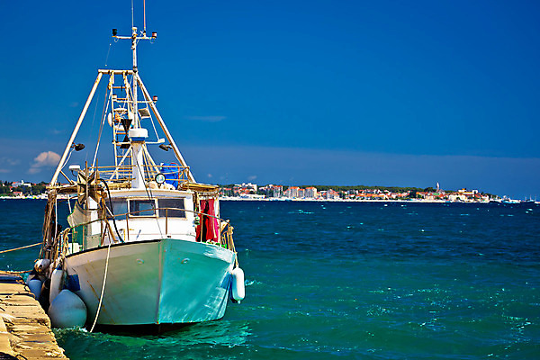 포토 JPG 해외이미지 전통 밧줄 파도 바다 교통시설 자연 낚시 바닥 항해 사람없음 목재 초록색 물 파란색 컬러풀 반사 노란색 항구 장비 그물 그리기 보트 작음 나룻배 묶기 부식 함선 매듭 크로아티아 수목 옛날 해외202004 해외포토 자연요소 나무 유럽 줄 컬러 교통 배_교통 재료 모션 레저 크기 시설 생태계 파일형식 이미지허브