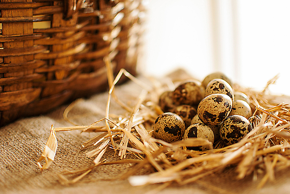 포토 JPG 해외이미지 전통 음식 다이어트 재료 건강 요리 사람없음 목재 갈색 바구니 계란 회색 튀김 시골 신선 사발 볏짚 아침식사 상품 가득함 유기농 날것 발레복 노른자 밀짚 흙더미 제비 베일 오믈렛 내추럴 깨짐 메추리 식용 식품점 채식주의자 해외202004 해외포토 나무 웰빙 옷 컬러 컨셉 조류 상점 알 식사 흙 사기그릇 짚 계란요리 발레 채식 파일형식 더미 이미지허브