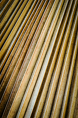 포토 JPG 해외이미지 나무 식물 디자인 계절 선 백그라운드 잎 패턴 자연 건조 손바닥 사람없음 갈색 노란색 어둠 손상 촉촉함 성장 가을 나뭇가지 죽음 숲 묘사 유기농 질감 대각선 곰팡이 그런지 방법 썩음 엘리먼트 옛날 노화 해외202004 해외포토 손 웰빙 컬러 컨셉 무늬 젖음 생태계 파일형식 이미지허브