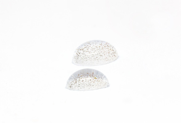 포토 JPG 해외이미지 백그라운드 자연 벽지 표면 추상 사람없음 물 빛 반사 거품 젖음 추위 흰색 물방울 원형 액체 떨어짐 이슬 시원함 낟알 질감 그런지 해외202004 해외포토 자연요소 도형 컬러 컨셉 무늬 생태계 파일형식 이미지허브