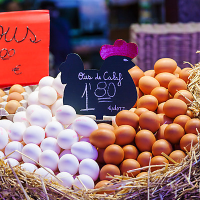 포토 JPG 해외이미지 동물 음식 다이어트 벤치 비즈니스 재료 자연 건강 사람없음 내부 계란 식사 치킨 유로 신선 그룹 시장 맛 상품 가격 먹기 사인 유기농 신호 날것 내추럴 단백질 매각 해외202004 해외포토 웰빙 컨셉 돈 의자 모션 알 생태계 닭고기요리 영양소 파일형식 이미지허브