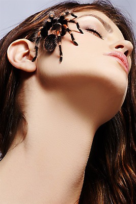 포토 JPG 해외이미지 백인 1 여자 유럽 얼굴 곤충 갈색머리 한명 사람 빨간색 반려동물 유행 검은색 회색 흰색 화려 닫기 위험 거미 기어가기 포식 스타일 해외202004 해외포토 서양인 동물 헤어스타일 나라 컬러 컨셉 모션 신체부위 파일형식 이미지허브