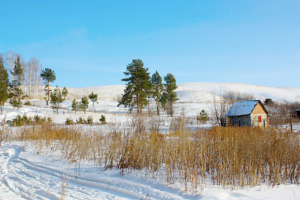 포토 JPG 해외이미지 나무 계절 길 크리스마스 겨울 자연 하늘 주택 건조 사람없음 야외 파란색 빛 햇빛 냉동 침묵 추위 흰색 소나무 숲 시원함 언덕 서리 지역 침엽수 전나무 자작나무 선로 해외202004 해외포토 식물 기념일 컬러 건물 태양 소리 생태계 파일형식 이미지허브