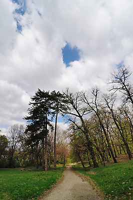 포토 JPG 해외이미지 나무 구름 계절 도로 길 잎 밭 자연 하늘 풍경 사람없음 야외 초록색 파란색 봄 산책 트래킹 하이킹 시골 숲 방법 해외202004 해외포토 자연요소 식물 컬러 농업 교통시설 레저 휴식 생태계 파일형식 이미지허브