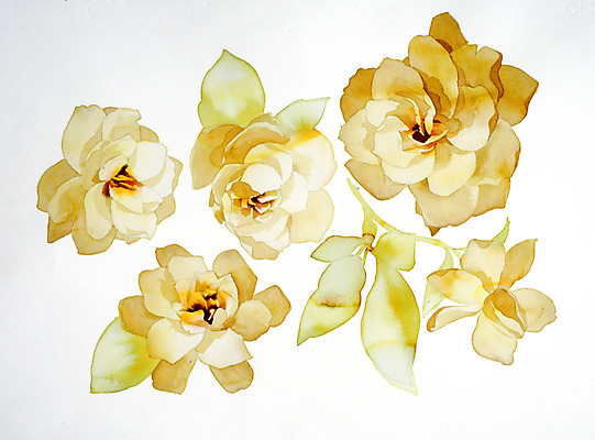 JPG 해외이미지 식물 꽃 꽃다발 일러스트 붓터치 수채화 사람없음 그림 번짐 해외202004 해외일러스트 파일형식 효과 이미지허브