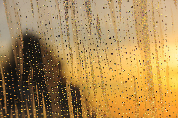 포토 JPG 해외이미지 백그라운드 패턴 오렌지 창문 자연 유리 벽지 하늘 표면 날씨 추상 사람없음 물 파란색 빛 태양 반사 일출 어둠 일몰 거품 젖음 가을 물방울 신선 투명 액체 떨어짐 수증기 수분 빗방울 질감 폭풍 내추럴 해외202004 해외포토 자연요소 계절 컬러 컨셉 무늬 과일 재질 노을 비_날씨 생태계 파일형식 이미지허브