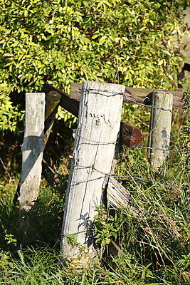 포토 JPG 해외이미지 유럽 밭 독일 사람없음 목재 널 방목장 해외202004 해외포토 나무 나라 농업 재료 파일형식 이미지허브