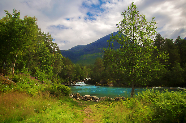 포토 JPG 해외이미지 나무 식물 구름 유럽 호수 바다 여행 자연 하늘 산 노르웨이 풍경 사람없음 물 여름 파란색 반사 평화 마을 침묵 바위 언덕 지역 내추럴 스칸디나비아 전국 해외202004 해외포토 자연요소 계절 나라 컬러 컨셉 소리 돌_바위 생태계 파일형식 이미지허브