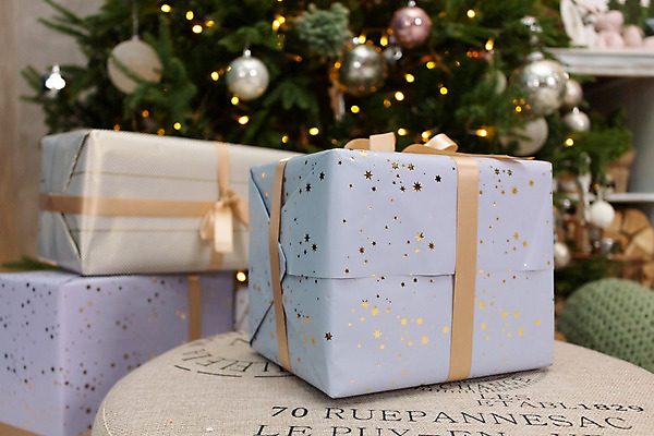 포토 JPG 해외이미지 나무 디자인 계절 별 리본 백그라운드 크리스마스 겨울 공 탁자 휴가 전등 새로움 주택 선물 사람없음 내부 목재 장식 빨간색 쇼핑 상자 파티 우주 축제 놀람 방 수확 흰색 축하 황금 은색 연도 활 벽난로 보케 패키지 리빙 많음 해외202004 해외포토 자연요소 식물 기념일 감정 컬러 가구 컨셉 농업 재료 조명 표정 이벤트 건물 파일형식 이미지허브