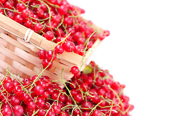 포토 JPG 해외이미지 식물 계절 열매 음식 줄기 백그라운드 잎 다이어트 과일 자연 디저트 건강 사람없음 빨간색 초록색 농작물 바구니 수확 흰색 나뭇가지 신선 그룹 달콤 맛 유기농 날것 내추럴 건포도 고립 숙성 신맛 정물화 채식주의자 해외202004 해외포토 나무 웰빙 컬러 컨셉 농업 포도 그림 생태계 채식 건과일 파일형식 이미지허브