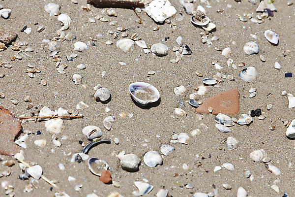 포토 JPG 해외이미지 모래 백그라운드 건조 사람없음 사막 껍질 뜨거움 땅 질감 결 해외202004 해외포토 무늬 파일형식 이미지허브