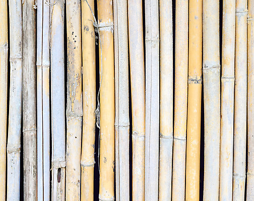 포토 JPG 해외이미지 나무 식물 전통 아시아 문화 선 벽 백그라운드 패턴 자연 동양인 사람없음 목재 장식 울타리 갈색 노란색 정원 일본 중국 성장 나뭇가지 원형 막대기 숲 다발 묶기 대나무 보따리 유기농 원예 질감 나무껍질 내추럴 그런지 옛날 직진 해외202004 해외포토 도형 웰빙 나라 컬러 무늬 재료 모션 인종 취미 담장 껍질 생태계 파일형식 이미지허브