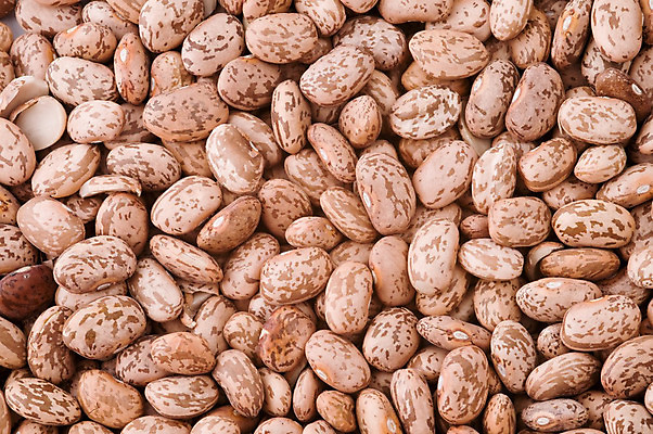 포토 JPG 해외이미지 식물 음식 백그라운드 농업 다이어트 채소 재료 자연 콩 건조 건강 식이요법 요리 씨앗 사람없음 식사 유기농 질감 날것 흙더미 내추럴 숙성 식용 채식주의자 해외202004 해외포토 웰빙 산업 곡류 흙 생태계 채식 파일형식 더미 이미지허브