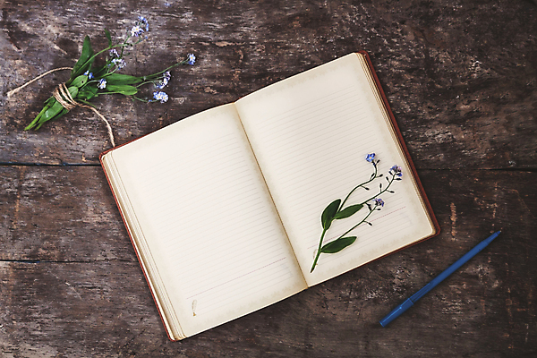 포토 JPG 해외이미지 교육 꽃 종이 줄 백그라운드 컨셉 탁자 미술 사람없음 목재 책 파란색 갈색 우주 다이어리 쪽지 공책 공백 수확 덮개 벚꽃 흰색 시골 기록 오픈 정상 편지 피부 책상 페이지 노끈 양피지 옛날 목차 해외202004 해외포토 나무 식물 컬러 가구 농업 재료 문화예술 문구용품 신체부위 사무용품 뚜껑 파일형식 이미지허브