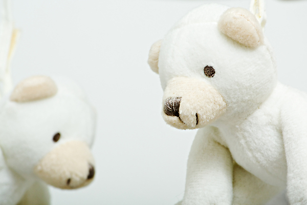 포토 JPG 해외이미지 동물 행복 곰 모바일 털 매달리기 미소 사람없음 장난감 흰색 모피 부드러움 솜털 폭식 고립 해외202004 해외포토 감정 컬러 포유류 모션 표정 감각 파일형식 이미지허브