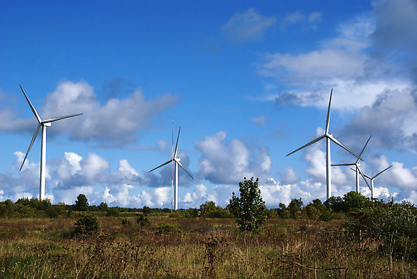 포토 JPG 해외이미지 나무 구름 밭 날개 자연 하늘 바람 풍경 사람없음 초록색 파란색 환경 힘 봄 재활용 풍차 발전기 에너지 시골 분위기 역 숲 땅 프로펠러 내추럴 방앗간 개발 생태학 해외202004 해외포토 자연요소 식물 계절 교육 컬러 컨셉 농업 교통시설 날씨 발전소 친환경 생태계 파일형식 이미지허브