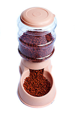 포토 JPG 해외이미지 동물 라이프스타일 접시 디자인 음료 음식 백그라운드 가정 주택 건조 건강 사랑 어류 안전 사람없음 물 반려동물 상점 식사 고양이 장비 흰색 신선 최고 액체 사발 개 역 상품 먹이 휴대용 컨테이너 플라스틱 먹기 오브젝트 분수 육식동물 수납 고립 돌봄 해외202004 해외포토 자연요소 식기 감정 산업 컬러 포유류 교통시설 모션 재질 건물 생활 수중동물 사기그릇 파일형식 이미지허브