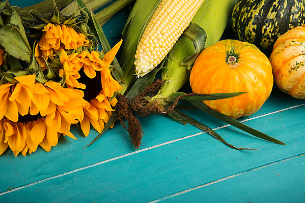 포토 JPG 해외이미지 계절 음식 백그라운드 농업 채소 오렌지 재료 탁자 건강 사람없음 목재 초록색 파란색 농작물 컬러풀 농장 노란색 정원 당근 가을 신선 시장 농부 수집 배열 유기농 날것 내추럴 구성 비트 숙성 정물화 채식주의자 해외202004 해외포토 나무 직업 웰빙 산업 컬러 가구 과일 뿌리채소 그림 채식 파일형식 이미지허브
