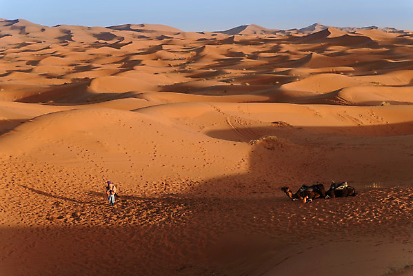 포토 JPG 해외이미지 동물 커플 모래 여행 포유류 아프리카 자연 하늘 건조 이집트 사람없음 야외 여름 모래사장 태양 맑음 산책 사막 시골 뜨거움 양치기 고독 모래언덕 사파리 낙타 동쪽 모로코 남쪽 사하라 아랍에미리트 순례 아랍어 오아시스 이국적 수평선 해외202004 해외포토 자연요소 직업 계절 감정 나라 바다 중동 관계 날씨 휴식 방향 언덕 생태계 파일형식 이미지허브