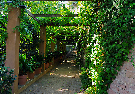 포토 JPG 해외이미지 나무 식물 공원 벽 백그라운드 잎 자연 벽돌 풍경 잔디 사람없음 장식 가로 초록색 여름 환경 정원 침묵 봄 활발 성장 바위 나뭇가지 열대우림 원예 조경 장면 포도나무 무화과 양치류 정중 해외202004 해외포토 계절 공공시설 컬러 컨셉 과일 취미 소리 돌_바위 숲 과일나무 생태계 파일형식 이미지허브