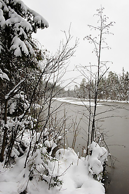 포토 JPG 해외이미지 나무 계절 유럽 호수 여행 백그라운드 겨울 자연 하늘 표면 날씨 풍경 사람없음 야외 빨간색 물 빛 환경 냉동 얼음 침묵 추위 가을 흰색 나뭇가지 시골 소나무 숲 서리 장면 북쪽 상록수 전나무 자작나무 내추럴 처음 눈내림 수평선 해외202004 해외포토 자연요소 식물 나라 컬러 눈_날씨 소리 방향 생태계 파일형식 이미지허브