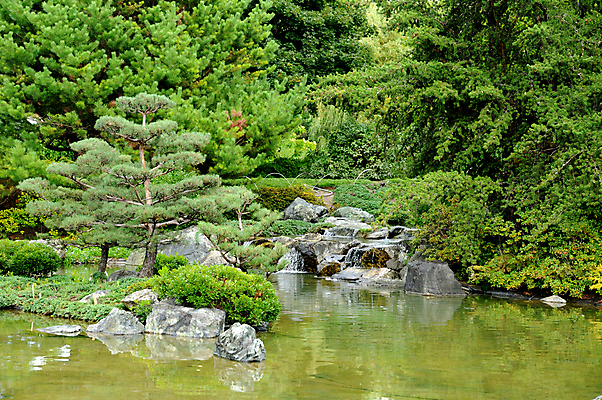 포토 JPG 해외이미지 식물 공원 캐나다 자연 사람없음 초록색 관광지 정원 일본 몬트리올 해외202004 해외포토 공공시설 아시아 컬러 여행 북아메리카 생태계 파일형식 이미지허브