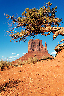 포토 JPG 해외이미지 나무 공원 여행 오렌지 자연 하늘 건조 풍경 사람없음 가로 빛 계곡 미국 황혼 일몰 사막 자유 보호 정상 저녁 땅 인도인 부식 사암 애리조나 첨탑 천연기념물 부족 생태학 서쪽 절정 수평선 막 해외202004 해외포토 외국인 식물 공공시설 교육 컨셉 북아메리카 과일 동양인 노을 탑 돌_바위 야간 방향 생태계 파일형식 이미지허브