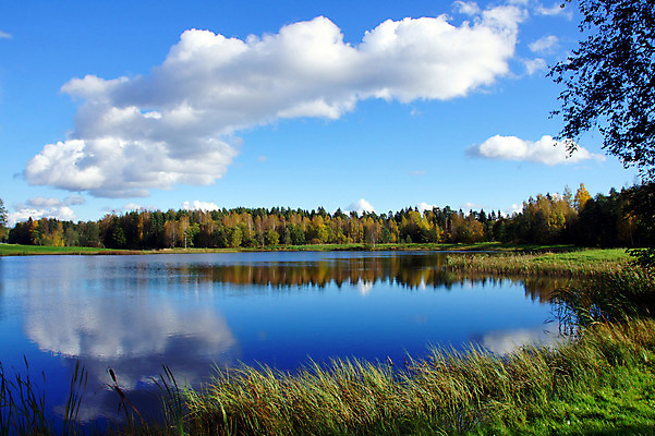 포토 JPG 해외이미지 나무 식물 구름 호수 백그라운드 자연 하늘 풍경 사람없음 야외 초록색 물 파란색 반사 환경 침묵 흰색 시골 연못 숲 천국 혼자 해외202004 해외포토 자연요소 컬러 소리 생태계 파일형식 이미지허브