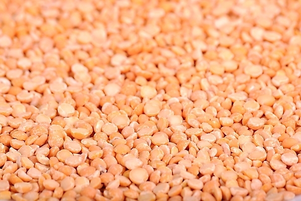 포토 JPG 해외이미지 식물 음식 채소 건조 건강 요리 씨앗 사람없음 목재 초록색 갈색 숟가락 침묵 그룹 닫기 맥박 낟알 국자 유기농 질감 완두콩 소매 내추럴 생식 채식주의자 유일 해외202004 해외포토 나무 웰빙 컬러 재료 의학 모션 주방용품 콩 수저 소리 채식 파일형식 이미지허브