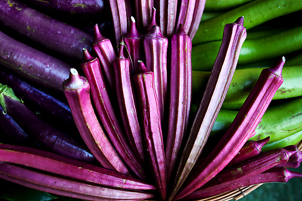 포토 JPG 해외이미지 식물 전통 음식 백그라운드 농업 채소 과일 재료 태국 건강 사람없음 초록색 바구니 흰색 신선 맛 질감 산등성이 날것 각도 박 스쿼시 내추럴 고립 주키니 해외202004 해외포토 산업 아시아 스포츠 컬러 컨셉 산 구기 파일형식 이미지허브