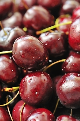 포토 JPG 해외이미지 식물 라이프스타일 열매 음식 줄기 백그라운드 컨셉 다이어트 채소 과일 재료 자연 디저트 건강 사람없음 빨간색 물 빛 젖음 수확 신선 체리 달콤 맛 먹기 유기농 질감 날것 내추럴 숙성 채식주의자 해외202004 해외포토 자연요소 웰빙 컬러 농업 모션 생활 생태계 채식 파일형식 이미지허브