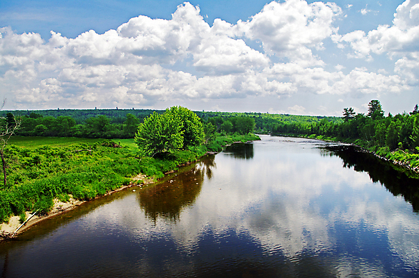포토 JPG 해외이미지 나무 구름 백그라운드 밭 자연 하늘 풍경 사람없음 초록색 물 여름 파란색 강 반사 시골 숲 언덕 해외202004 해외포토 자연요소 식물 계절 컬러 농업 생태계 파일형식 이미지허브