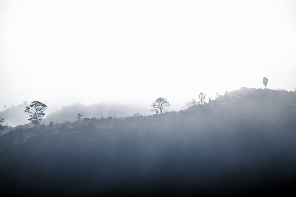 포토 JPG 해외이미지 나무 구름 공원 여행 백그라운드 잎 자연 하늘 아침 산 풍경 사람없음 야외 초록색 일출 환경 일몰 새벽 안개 숲 공상 내추럴 뿌연 전국 절정 해외202004 해외포토 주간 자연요소 식물 공공시설 컬러 날씨 노을 생태계 파일형식 이미지허브