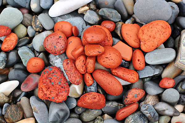 포토 JPG 해외이미지 디자인 계절 바다 여행 백그라운드 컨셉 텍스트 자연 조류 휴가 벽돌 프레임 사람없음 야외 장식 빨간색 물 파란색 빛 컬러풀 우주 거품 연못 네트워크 홍수 심볼 질감 모음 내추럴 해외202004 해외포토 자연요소 동물 컬러 한글 자연재해 생태계 파일형식 이미지허브