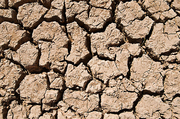 포토 JPG 해외이미지 디자인 지구 백그라운드 패턴 자연 표면 추상 프레임 건조 미술 사람없음 야외 여름 갈색 환경 사막 수확 물방울 죽음 뜨거움 거친 균열 땅 부식 질감 복고 먼지 점토 지역 진흙 가뭄 온도 다리찢기 내추럴 그런지 깨짐 재앙 효과 해외202004 해외포토 계절 컬러 컨셉 무늬 농업 모션 날씨 문화예술 생태계 파일형식 이미지허브