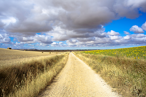 포토 JPG 해외이미지 구름 도로 밭 농업 휴가 거리 건조 파노라마 옥수수 풍경 사람없음 농작물 흙 하이킹 수확 시골 스페인 볏짚 밀 만취 귀 철사 밀짚 방법 밭일 산티아고 순례 주장 해외202004 해외포토 자연요소 유럽 산업 길 교통시설 레저 곡류 촬영기법 신체부위 짚 술취함 파일형식 이미지허브