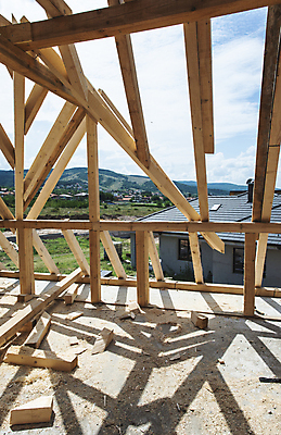 포토 JPG 해외이미지 산업 하늘 지붕 새로움 주택 프레임 사람없음 건물 목재 업무 재산 널 목수 만들기 목공예 잡동사니 개발 건축업자 수목 조작 프로젝트 해외202004 해외포토 나무 직업 건축물 건축 컨셉 재료 모션 금융 작업 공예 파일형식 이미지허브