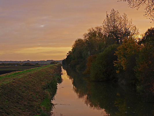 포토 JPG 해외이미지 잎 사람없음 물 일몰 가을 보호 배수구 해외202004 해외포토 자연요소 식물 계절 컨셉 노을 파일형식 이미지허브